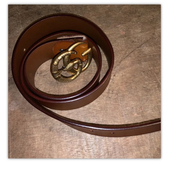 brown gucci snake belt